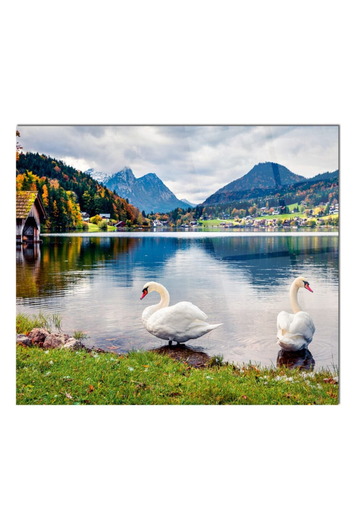 Cam Ocak Arkası Koruyucu Tezgah Ankastre Arkası Koruyucu Kuğu