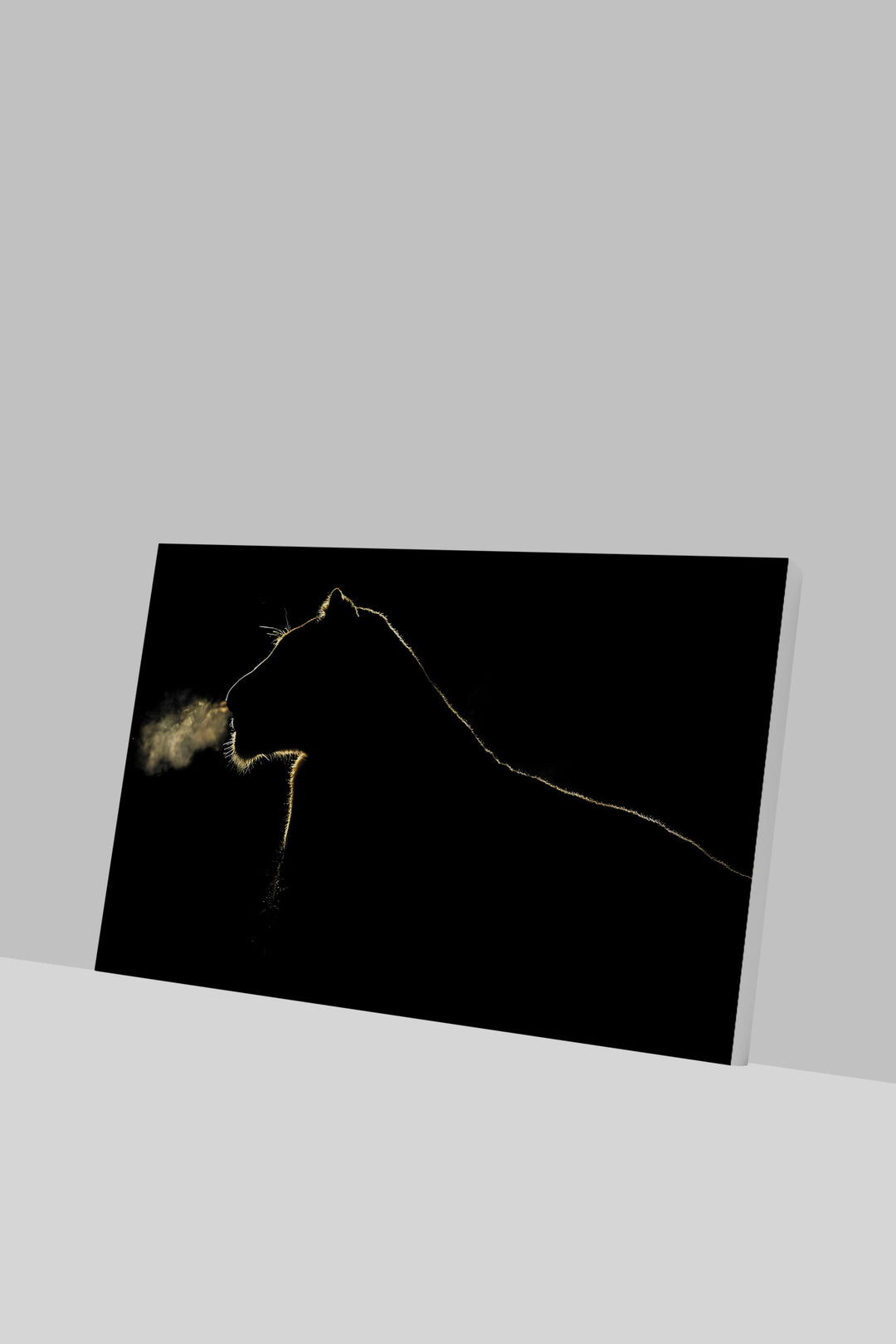 Ürün Adı-GLASSQX9195