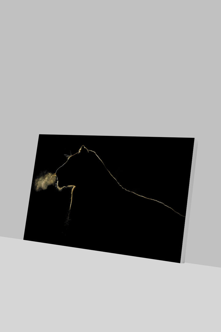 Ürün Adı-GLASSQX9195