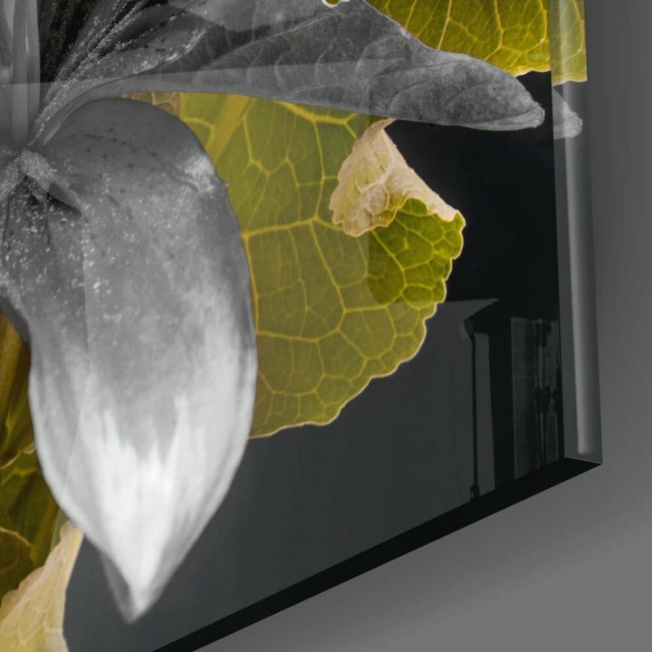 Çiçekler Cam Tablo