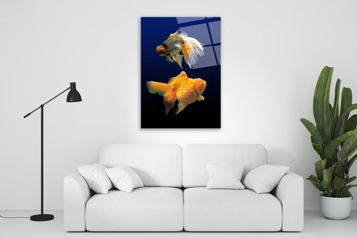 Japon Balığı Cam Tablo