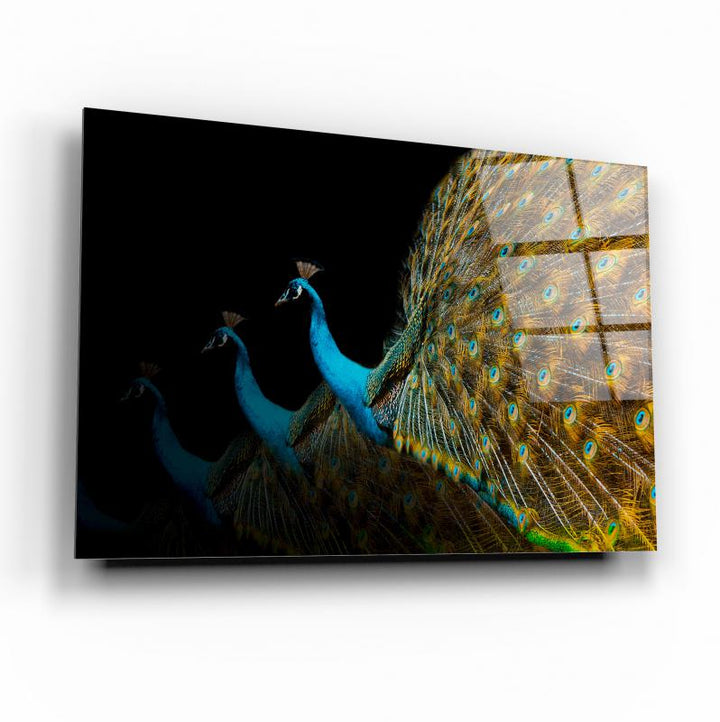 Tavus Kuşu Cam Tablo