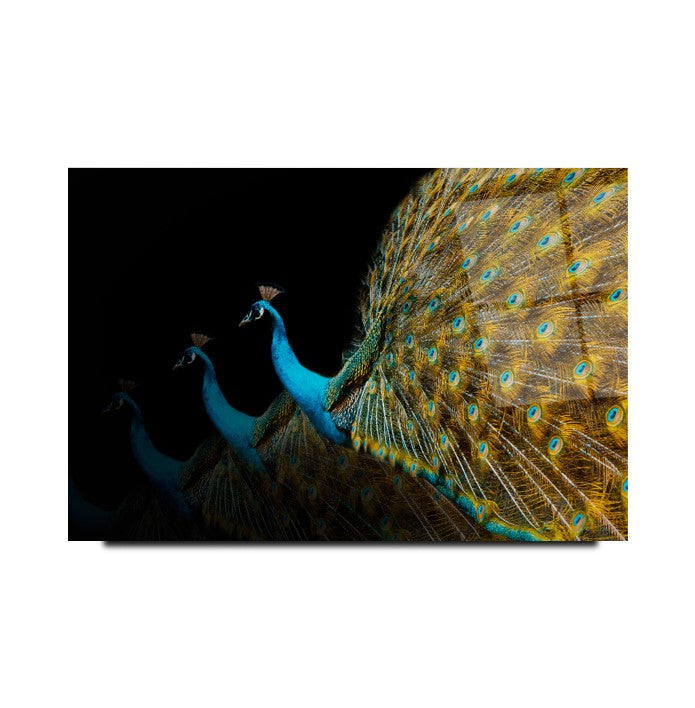 Tavus Kuşu Cam Tablo