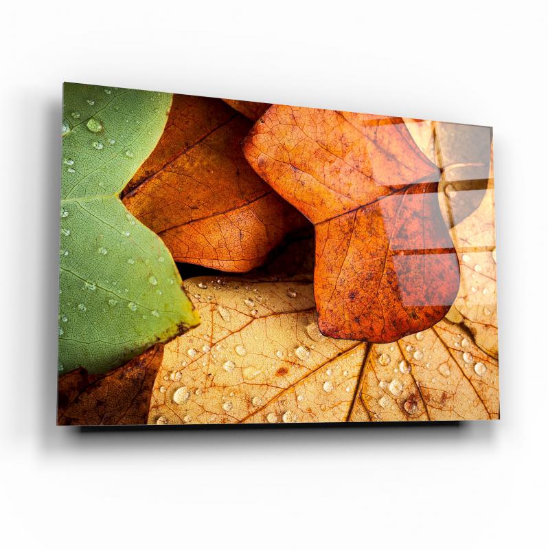 Yapraklar Cam Tablo