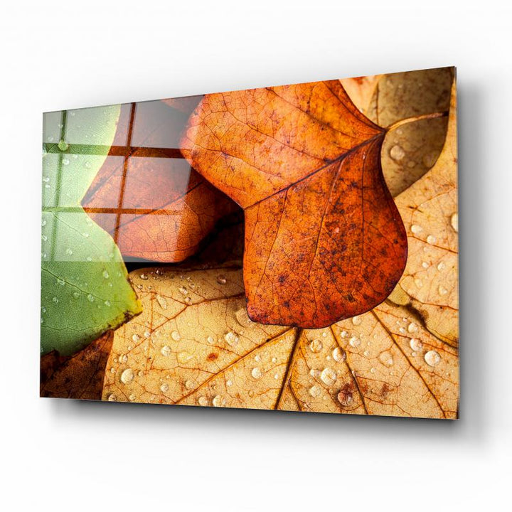 Yapraklar Cam Tablo