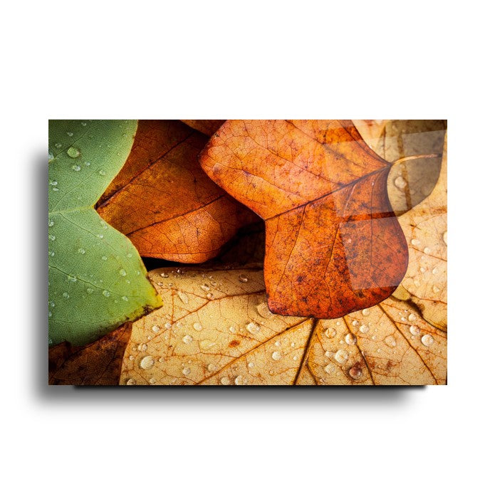 Yapraklar Cam Tablo