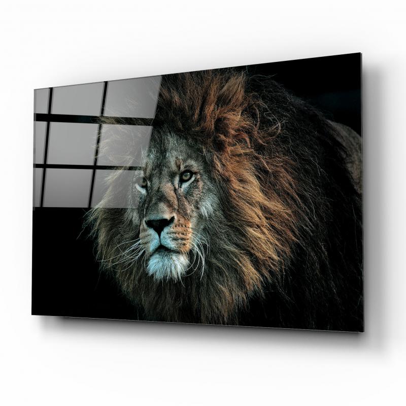Aslan Cam Tablo