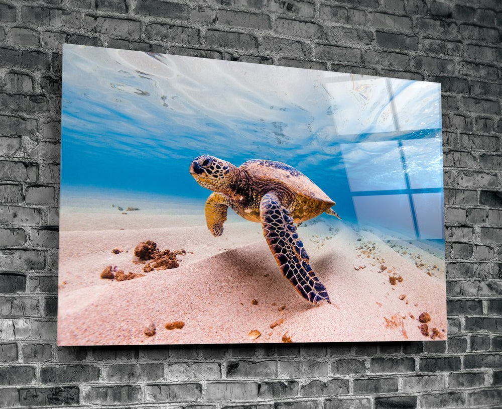 Deniz Kaplumbağası Cam Tablo No:1125