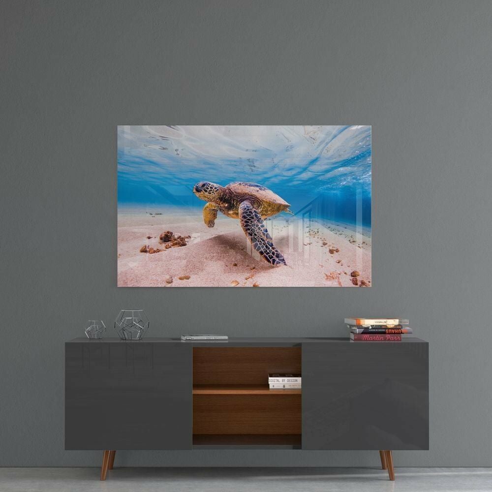 Deniz Kaplumbağası Cam Tablo No:1125