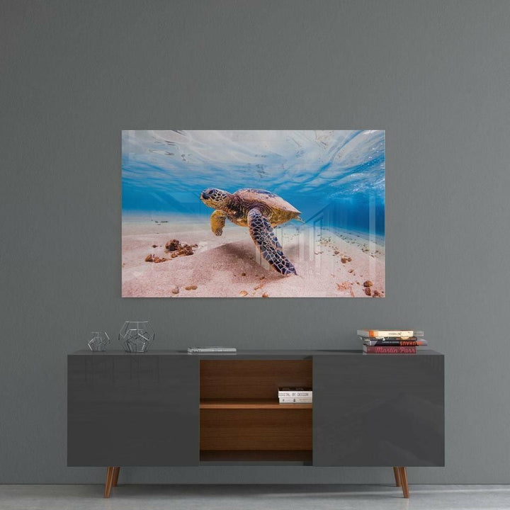 Deniz Kaplumbağası Cam Tablo No:1125