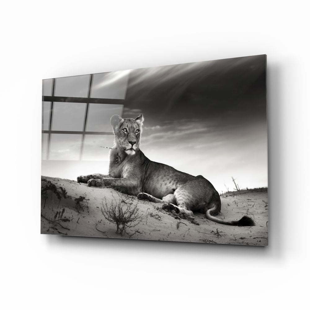 Dişi Aslan Cam Tablo No:1146