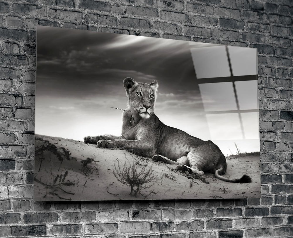 Dişi Aslan Cam Tablo No:1146