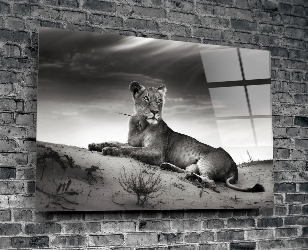 Dişi Aslan Cam Tablo No:1146