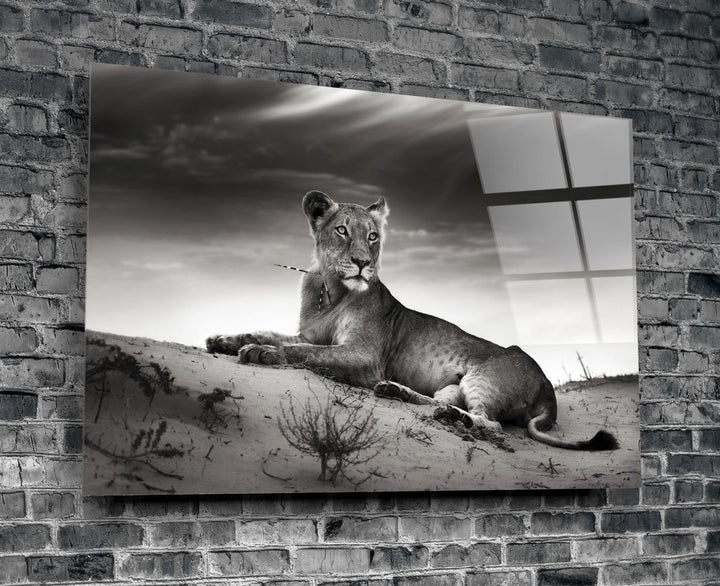 Dişi Aslan Cam Tablo No:1146