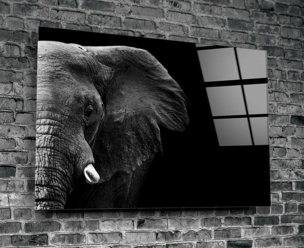 Fil Cam Tablo No:1106