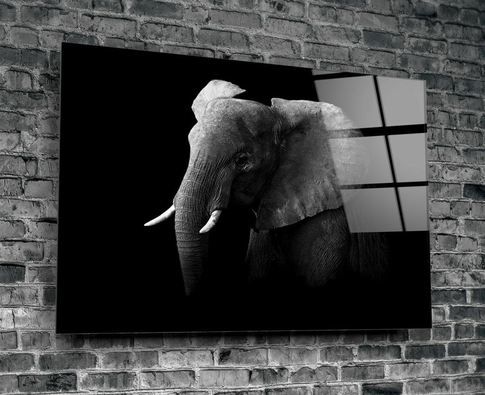 Fil Cam Tablo No:1107