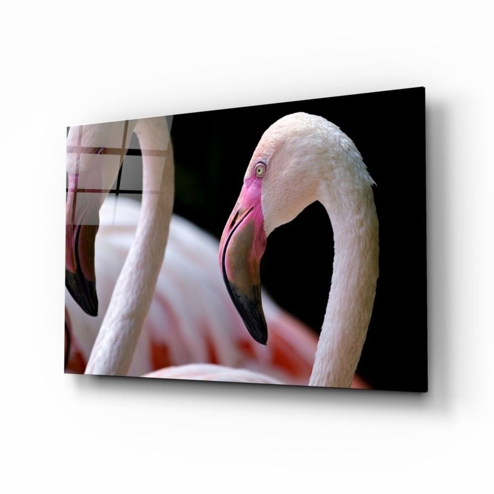 Flamingo Cam Tablo