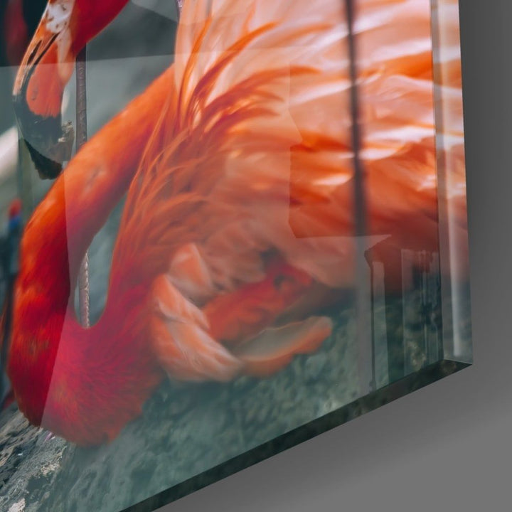 Flamingolar Cam Tablo