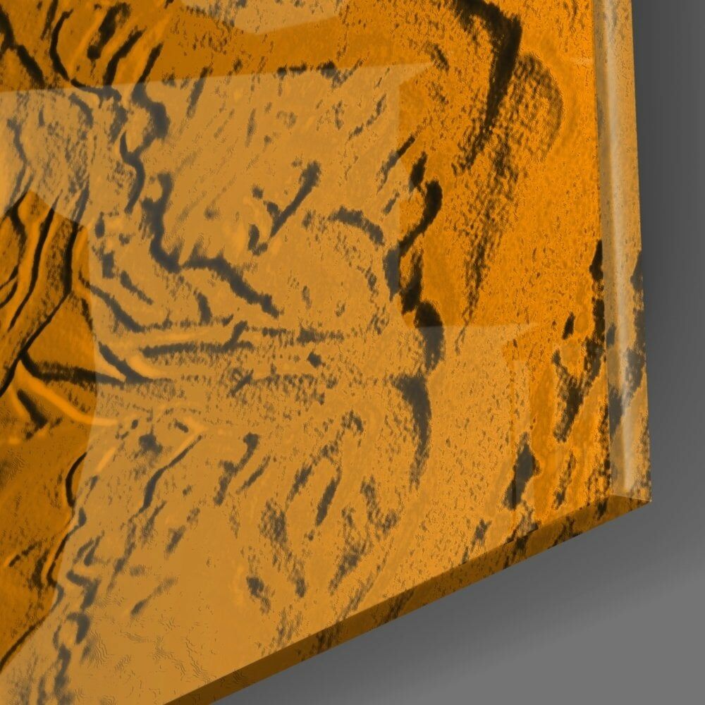 Gül Desenli Cam Tablo