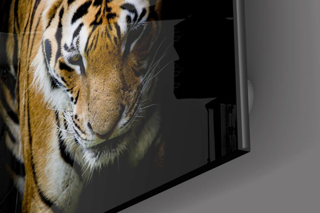 Kaplan Cam Tablo No:1221