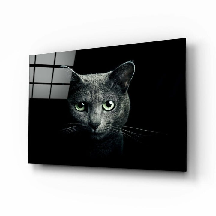 Kedi Cam Tablo