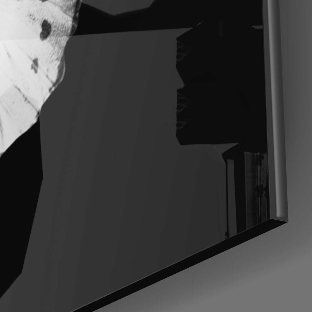 Kelebeğin Zarafeti Cam Tablo