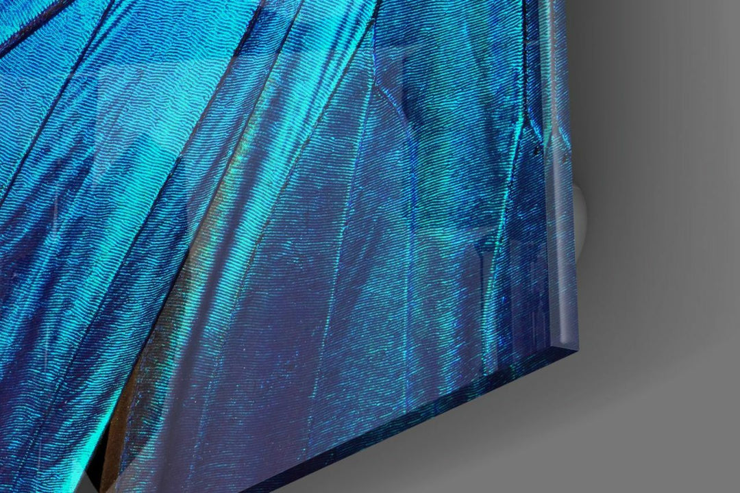 Kelebek Kanadı Cam Tablo