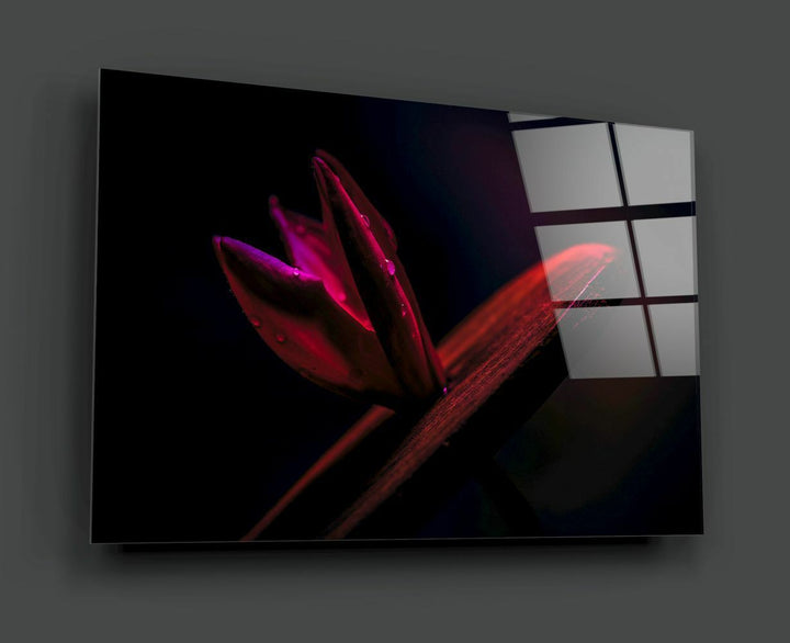 Kırmızı Yaprak Cam Tablo