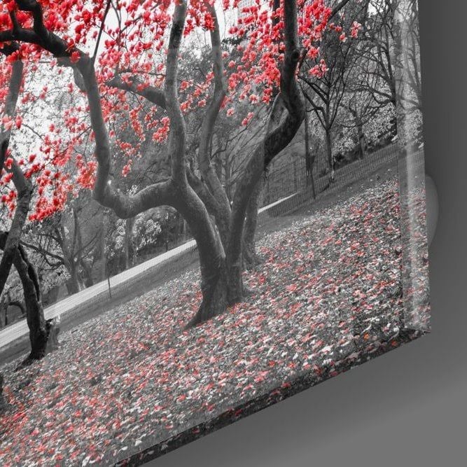 Kızıl Ağaç Cam Tablo No:1038