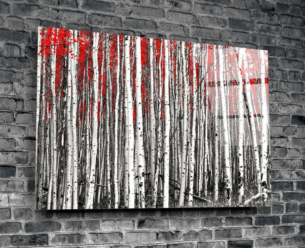 Kızıl Orman Cam Tablo