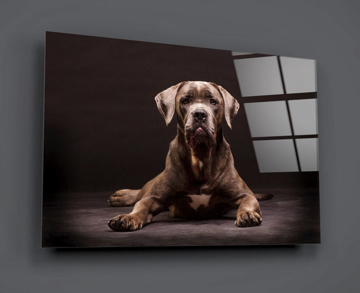 Köpek Cam Tablo No:1180