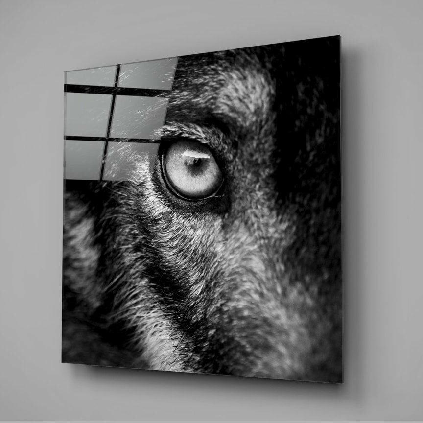 Kurt Bakışı Cam Tablo No:3003