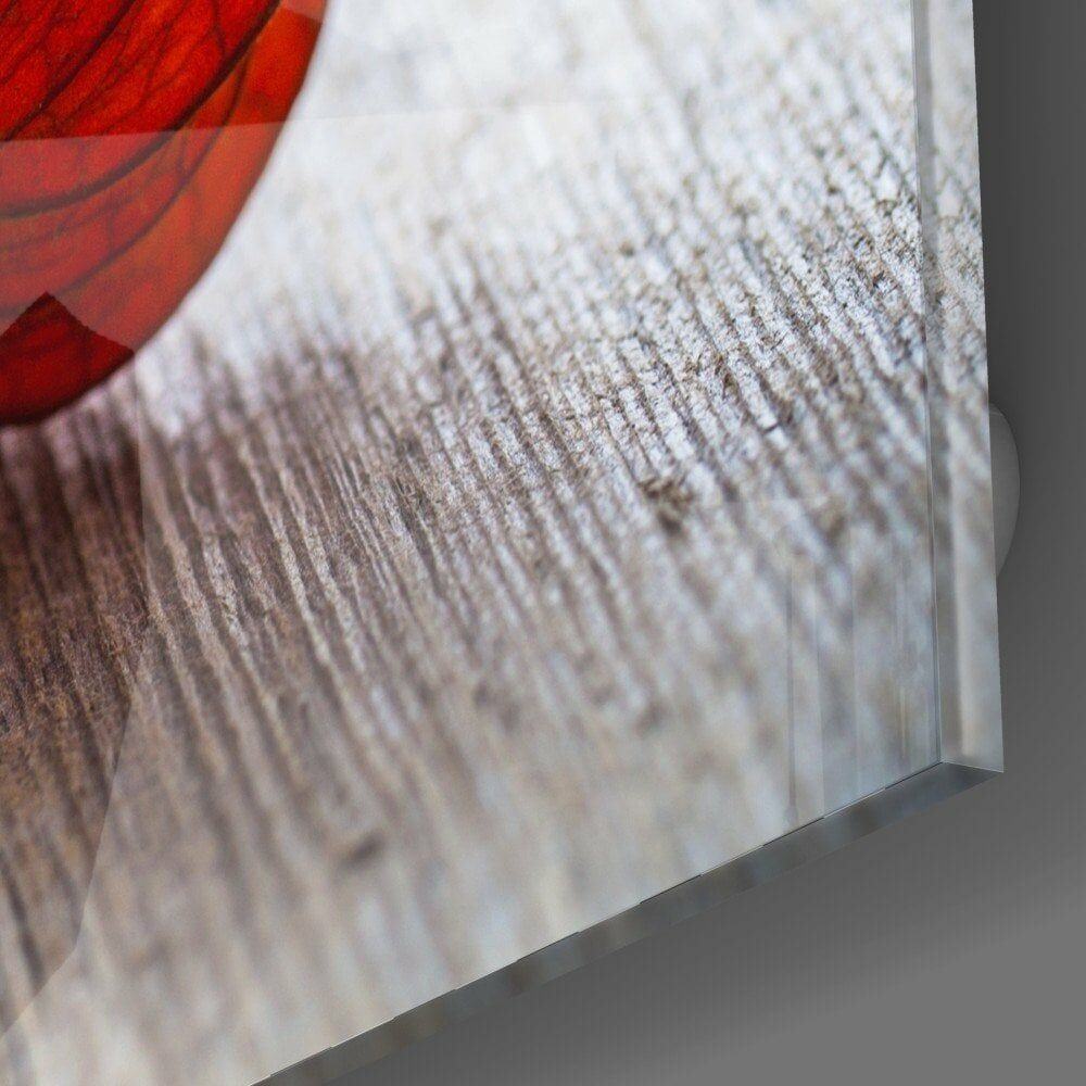 Kuru Yaprak Cam Tablo