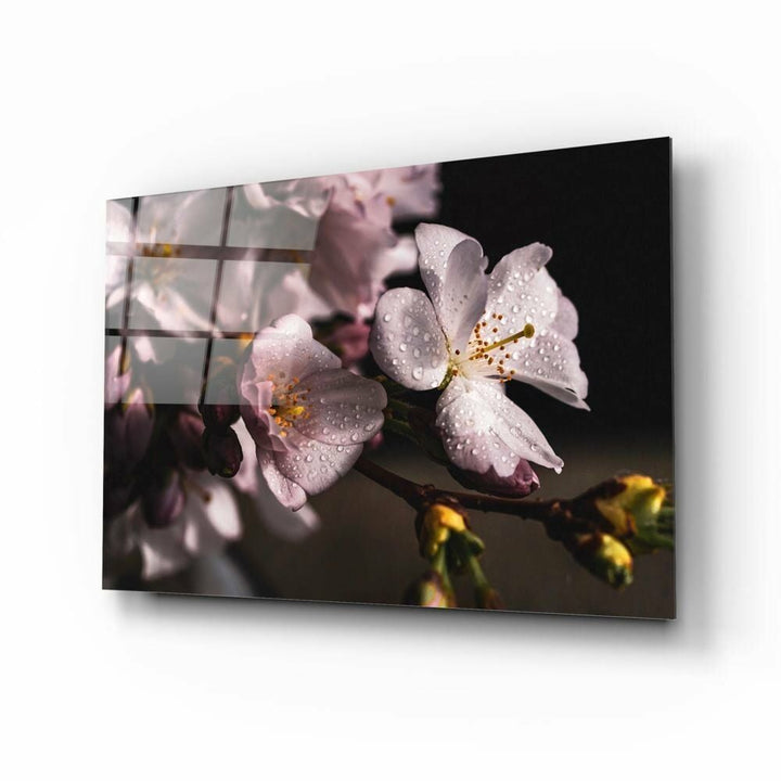 Makro Çiçek Cam Tablo