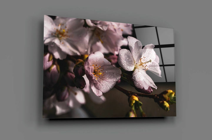 Makro Çiçek Cam Tablo