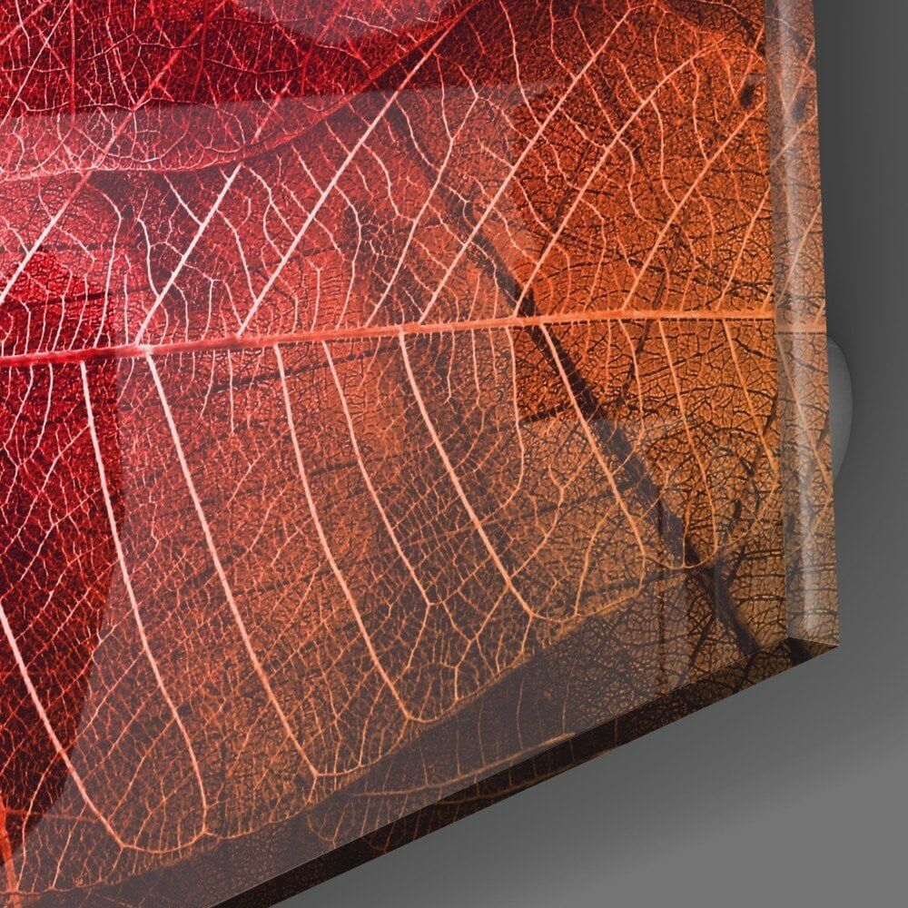 Makro Kırmızı Yaprak Cam Tablo