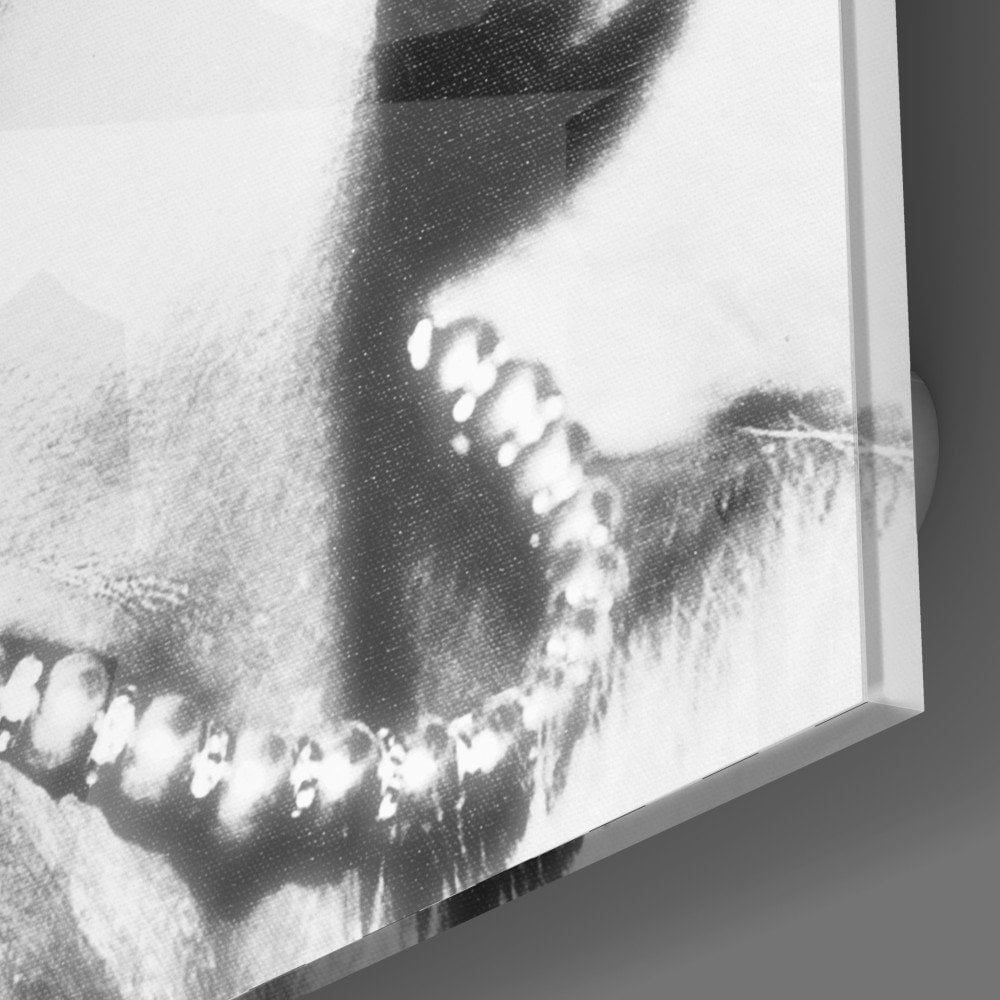 Marilyn Monroe Cam Tablo