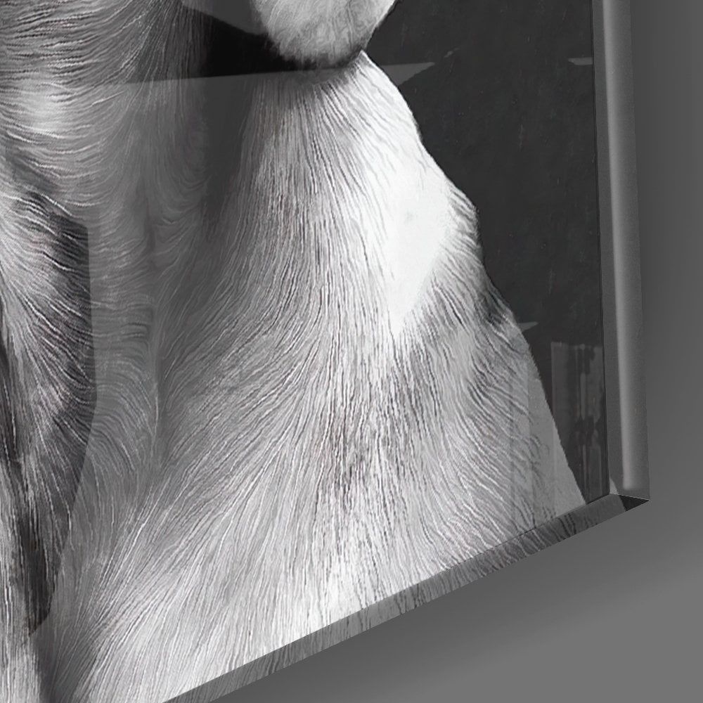 Masum Köpek Cam Tablo