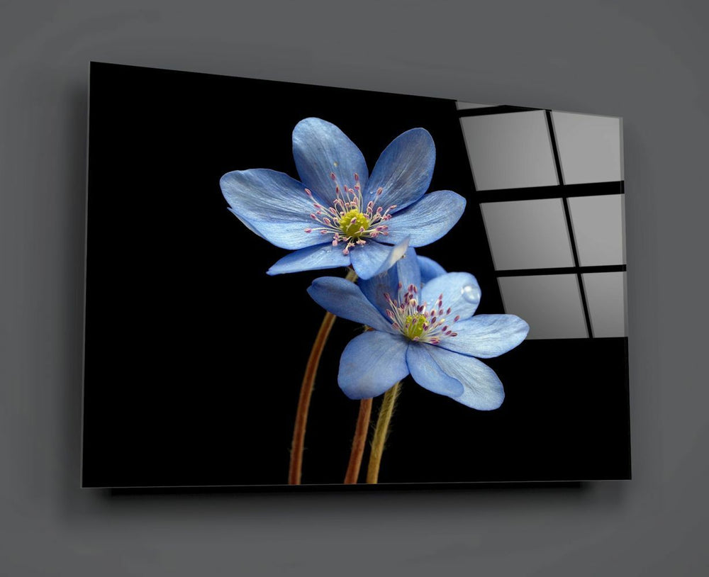 Mavi Çiçekler Cam Tablo