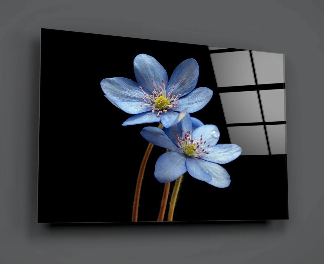 Mavi Çiçekler Cam Tablo