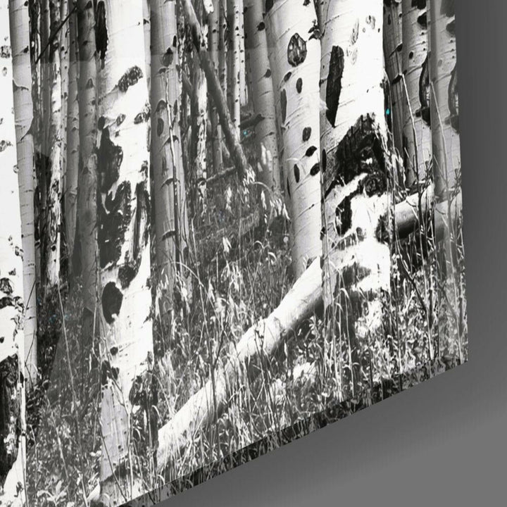 Mavi Orman Cam Tablo