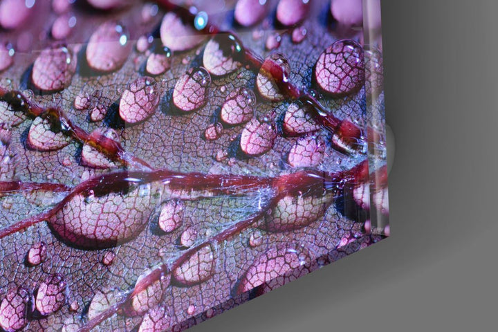 Mor Yaprak Cam Tablo