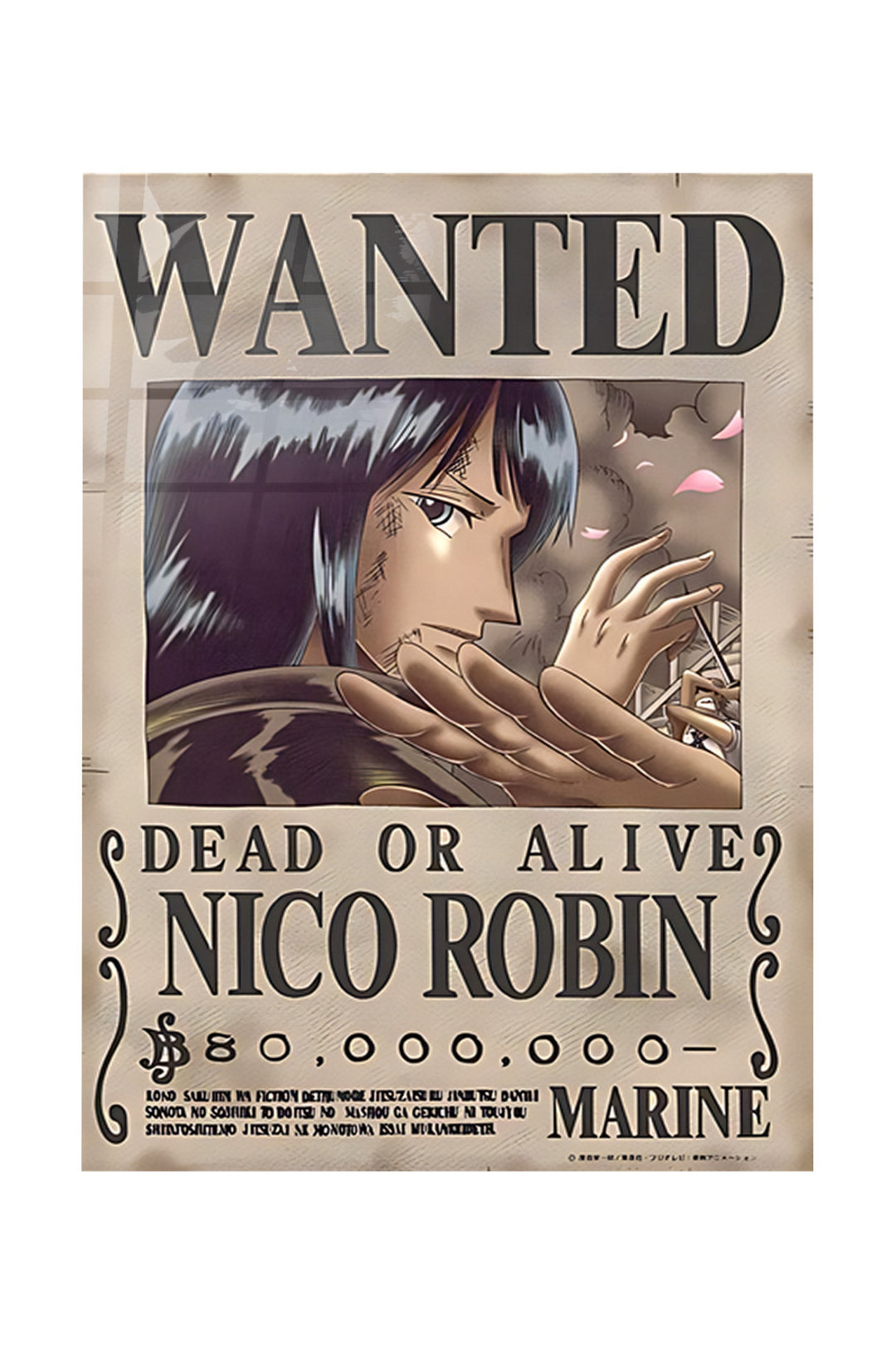 One Piece Nico Robin Wanted