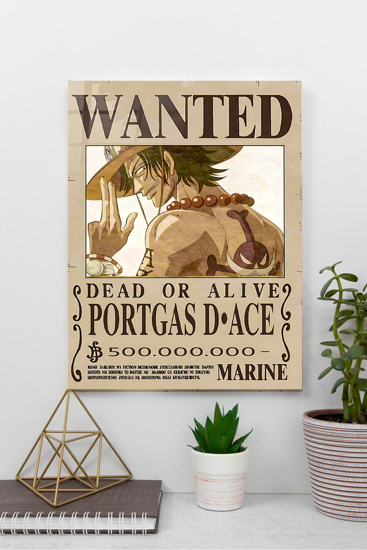 Portgas D. Ace Wanted One Piece
