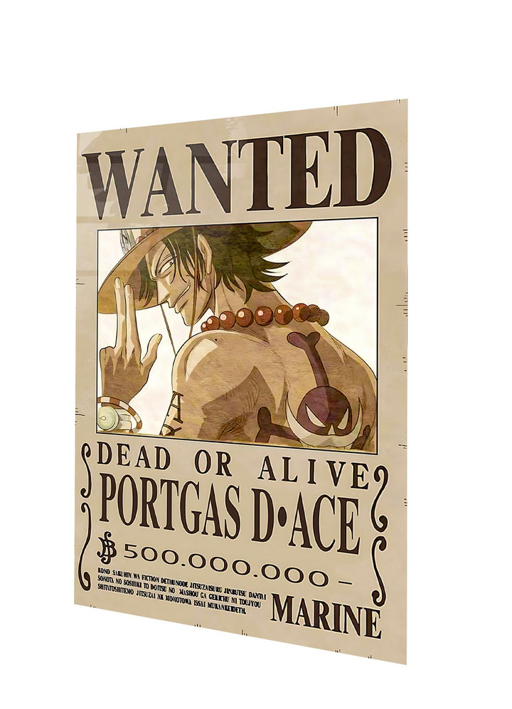 Portgas D. Ace Wanted One Piece