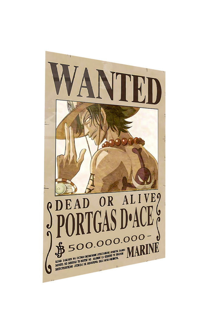 Portgas D. Ace Wanted One Piece