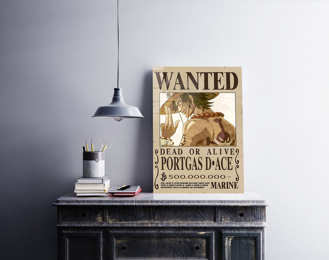 Portgas D. Ace Wanted One Piece