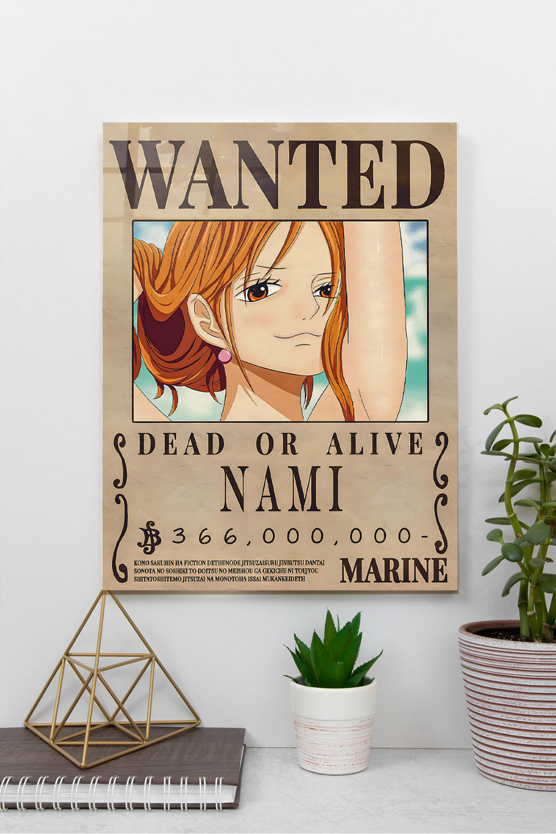 One Piece Nami Wanted