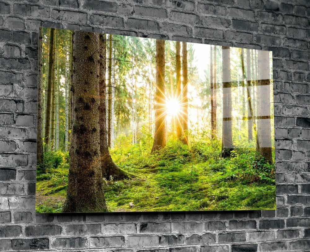 Orman Cam Tablo No:1084