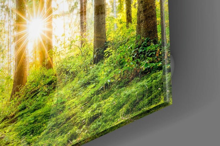 Orman Cam Tablo No:1084